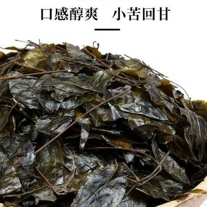 贵州特产余庆小叶苦丁茶正品毛冬青发酵茶叶苦尽甘来清爽凉茶散装