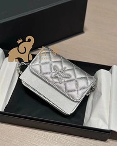Chanel香奈儿24C新款女包银色水钻星星羊皮链条腰包零钱包小废包