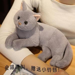 猫咪泻火玩具公猫性发泄玩具猫发情期交配陪睡觉仿真母猫伴侣公仔