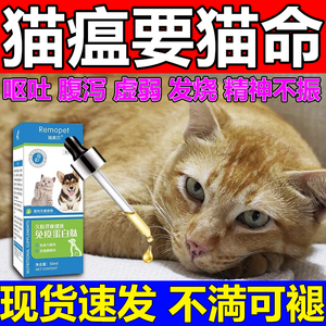 猫瘟专用调节猫瘟治疗套餐猫咪拉稀腹泻呕吐专用套餐干扰素猫鼻支