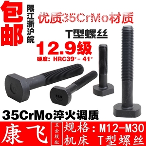 康飞 12.9级t型螺丝/冲床/铣床/加工中心/模具压板T形螺栓m12-m30