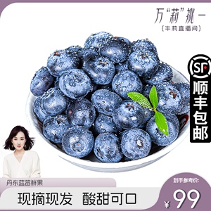 【牛莉直播专享】丹东蓝莓鲜果当季新果现摘新鲜孕妇甜水果