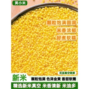 黄小米新货新米5斤山西农家新鲜食用糯小米粥杂粮粗粮米脂油小米