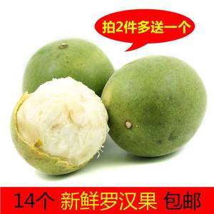 现货可发 现摘新鲜罗汉果大果生果14个散装广西桂林永福特产