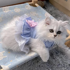 猫咪衣服夏季薄款宠物蓝猫英短幼猫公主蕾丝裙宠物狗狗小型犬裙子