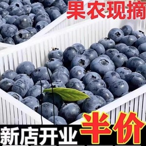 山东蓝莓新鲜水果当季整箱蓝莓鲜果现摘爽口多汁包邮到手2斤