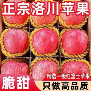 陕西正宗延安洛川苹果10十斤新鲜水果当季整箱产地直销