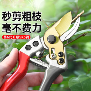 日本品质新款sk5园林修枝剪剪树枝专用剪刀家用修花园艺果树剪子