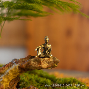 水月观音苔藓多肉生态鱼缸微景观摆件迷你人物盆景造景装饰小摆件