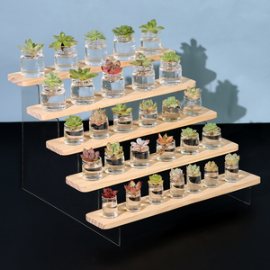 亚克力透明展示架阶梯泡泡玛特盲盒桌面置物架多肉植物手办公仔木