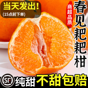 四川春见耙耙柑粑粑柑杷杷水果应当季新鲜整箱10丑柑橘子