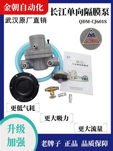 武汉长江气动单向隔膜泵QDM-CJ601S纸箱机水墨泵长江耐腐蚀油墨泵