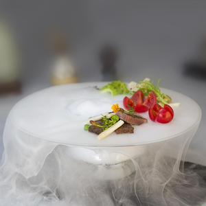 特色干冰液氮餐具创意分子料理意境菜个性时尚酒店餐厅玻璃盘子