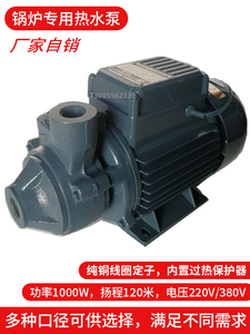 静音整烫锅炉蒸汽发生器配件热水循环漩涡管道水泵家用1000WDB120