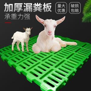 羊床漏粪板羊圈羊舍加厚塑料漏粪网养羊专用产床漏粪板养殖场设备