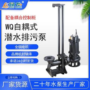 WQ潜污泵足功率无堵塞自耦式潜水污水泵型号参数齐全排污泵