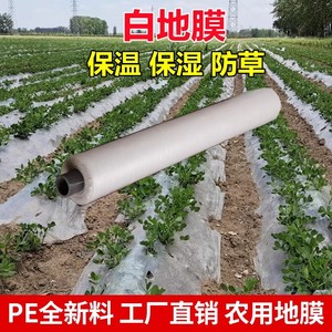 农用白色盖花生地膜农业种植西瓜土豆保温专用塑料薄膜地面蔬菜膜