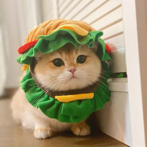 猫咪汉堡头套搞怪可爱宠物帽子狗狗头饰拍照玩具小型犬装扮服饰品