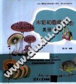 水彩和圆珠笔的美丽邂逅/黎小珍编著/北京：清华大学出版社