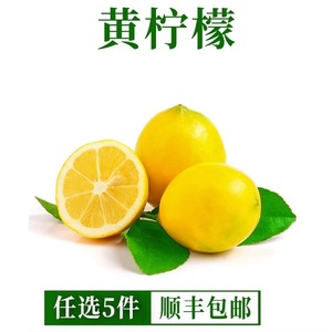 四川安岳黄柠檬500g新鲜奶茶店专用皮薄一级香水甜柠檬水果非无籽