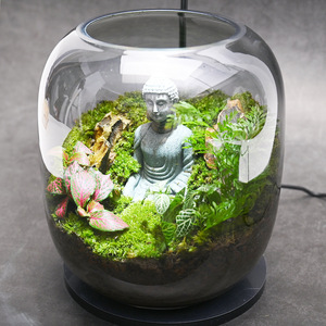 透明玻璃花开见佛微景观生态瓶 禅意雨林缸盆景创意diy造景生态瓶