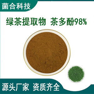茶多酚98% 绿茶提取物 茶单宁食品保鲜剂 厂家直供 量大从优 现货