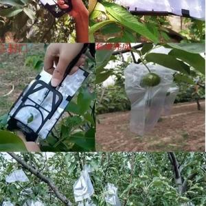 苹果套袋机全自动苹果塑膜袋水果套袋苹果套袋机器苹果套袋机【4