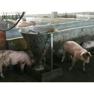 不锈钢干湿料槽育肥母猪食槽猪用自动下料槽保育喂料器自由采厂家