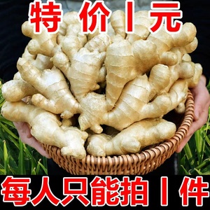【超低价】姜新鲜生姜家用现挖老姜5斤月子姜土姜农家鲜姜大肉姜