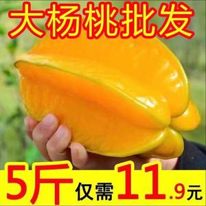 福建漳州甜杨桃5斤水果当季整箱洋桃鲜果新鲜红龙扬桃五角星阳桃