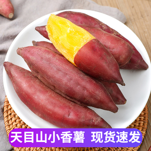 新鲜红薯正宗临安天目山小香薯5斤板栗番薯手指地瓜蔬菜甘薯山芋