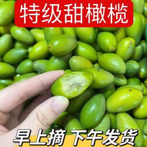 正宗金灶甜种冰糖橄新鲜现摘酥脆无渣甘甜生吃零食潮汕水果青橄榄