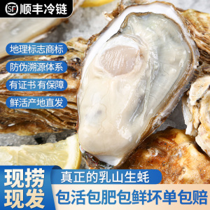 乳山生蚝鲜活特大带箱6斤新鲜海蛎子超大牡蛎海鲜水产烧烤食材
