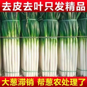 山东章丘大葱新鲜10斤特级正宗铁杆大葱特产甜脆小葱5斤蔬菜葱头