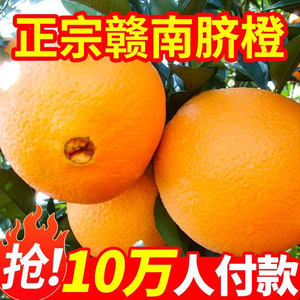 脐橙10斤新鲜橙子应当季现摘水果果冻橙手剥非赣南冰糖甜脐橙整箱