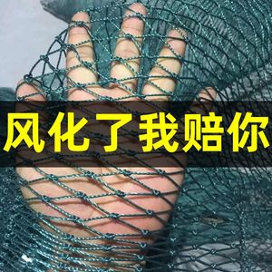 进口材质养鸡网养殖网尼龙网拦鸡网围鸡网家禽塑料网护栏网菜园围