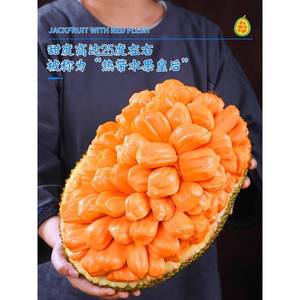 越南红肉菠萝蜜18斤应季树上熟新鲜水果一整个红心波罗蜜整箱包邮