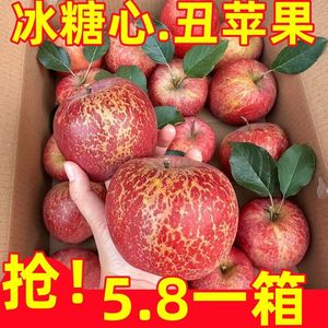 云南昭通丑苹果冰糖心苹果水果脆甜红富士10斤苹果新鲜整箱包邮3A