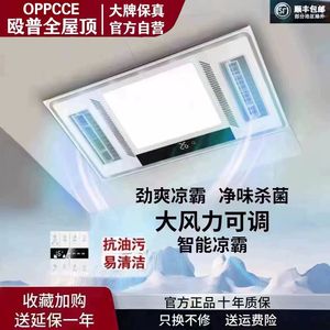 殴普集成吊顶凉霸照明换气吹风二合一冷霸空调型厨房电风扇冷风机