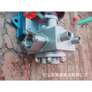 泵业 沥青保温泵 高温齿轮泵 厂家供应 多型号可选