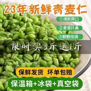 2024新鲜青麦仁麦粒麦穗碾转青麦子青小麦嫩麦杂粮绿麦仁青稞1斤