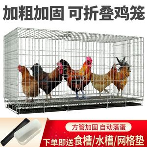 鸡笼子大号特大养殖笼自动清粪鸡舍家用家庭鸡笼多层鸡笼鸭鹅兔笼