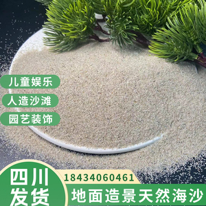 四川儿童海沙 天然石英砂 幼儿园沙池人造沙滩造景白沙 圆粒海砂