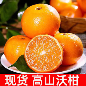 【现货先发】正宗高山沃柑9斤新鲜应季水果 整箱沃柑砂糖柑橘包邮