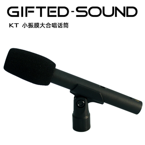 GS有线/无线专业舞台大合唱话筒乐器会议演讲小振膜电容麦克风KT