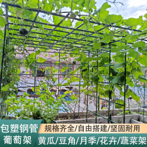 葡萄架子庭院户外爬藤架园艺花架丝瓜支架种菜植物瓜棚架支撑杆网