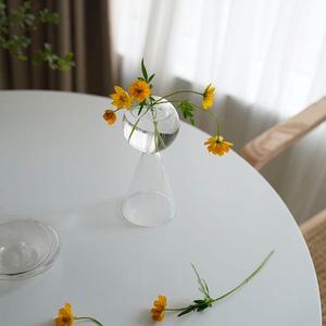玻璃铜钱草水培瓶子创意花盆插花瓶干花装饰透明花器异性玻璃花瓶