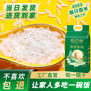稻巴赫猫牙香米泰国香米长粒丝苗油粘大米2023年新米2.5kg5斤真空