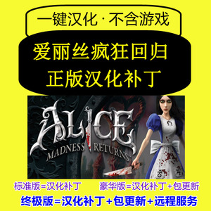 爱丽丝：疯狂回归 汉化补丁 正版Steam简体中文/不含游戏