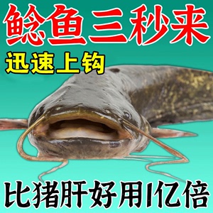 鲶鱼疯钓鱼小药饵料野钓胡子鲶大口鲶塘鲺饲料打窝料诱食剂钓饵